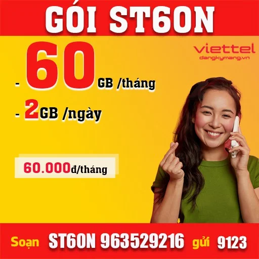 ST60N - GÓI VIETTEL 60GB
