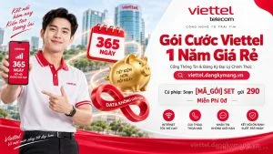 Gói Cước Viettel 1 Năm Giá Rẻ【Từ 1.080.000đ Cả Năm】